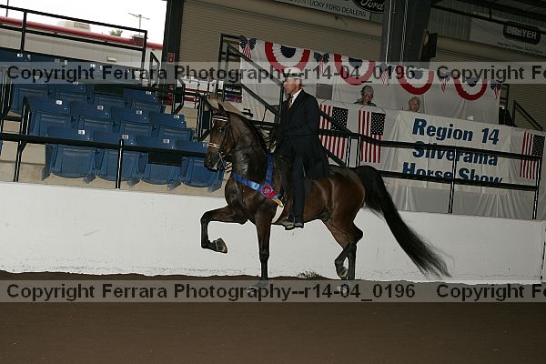 Proof Number r14-04_0196